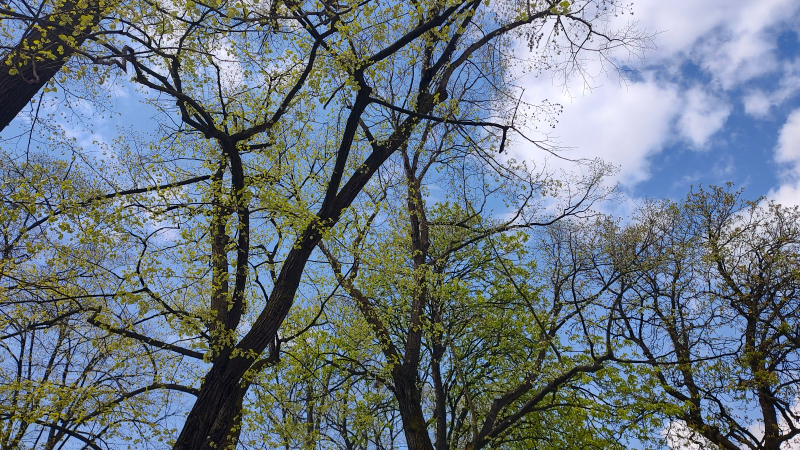 Foto: OK Radio, M.Spirić Foto: OK Radio, M.Spirić